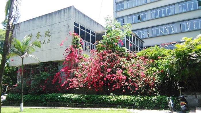 西南大學(xué)校園 西南大學(xué)校園